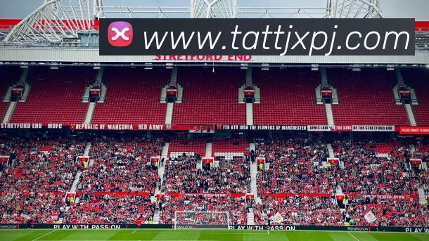 新葡京娱乐APP 封面图